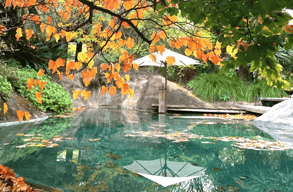 Ferguson Valley Escape