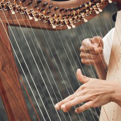 Music at Ferguson Valley Escape