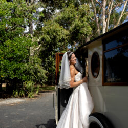 Romantic Weddings photo