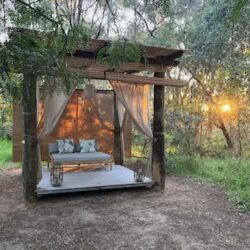 Tropical Gardens photo