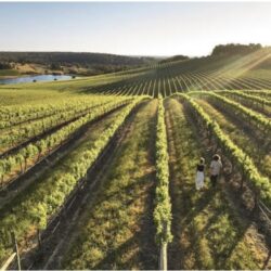 Tropical Gardens photo