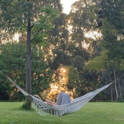 Tropical Gardens photo