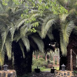 Romantic Weddings photo