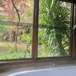 Tropical Gardens photo