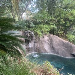 Tropical Gardens photo