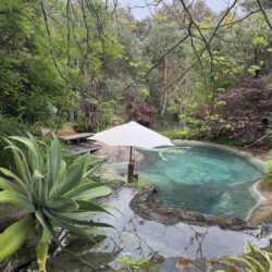 Tropical Gardens photo