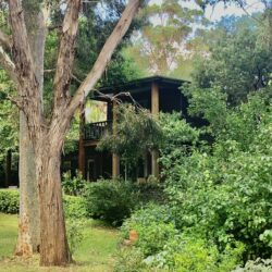 Tropical Gardens photo