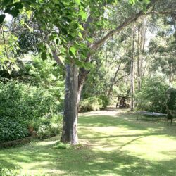 Tropical Gardens photo