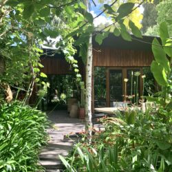 Tropical Gardens photo