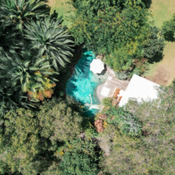 Tropical Gardens photo