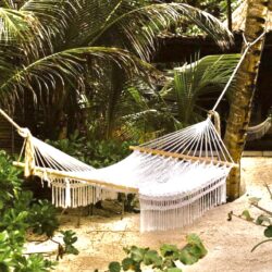 Tropical Gardens photo