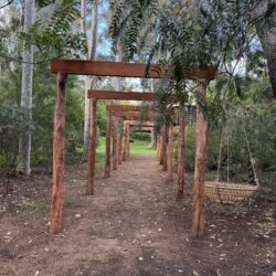 Tropical Gardens photo