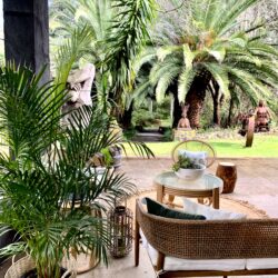 Tropical Gardens photo