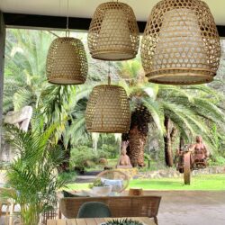 Tropical Gardens photo