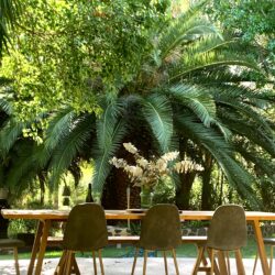 Tropical Gardens photo