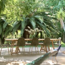 Tropical Gardens photo