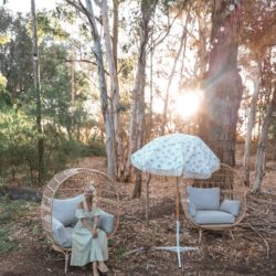 Tropical Gardens photo