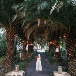 Tropical Gardens photo