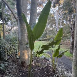 Rest and Restore Retreats photo