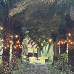 Tropical Gardens photo