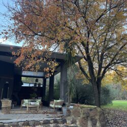 Tropical Gardens photo