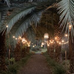 Tropical Gardens photo