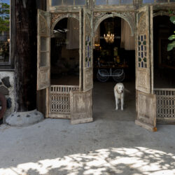 Romantic Weddings photo